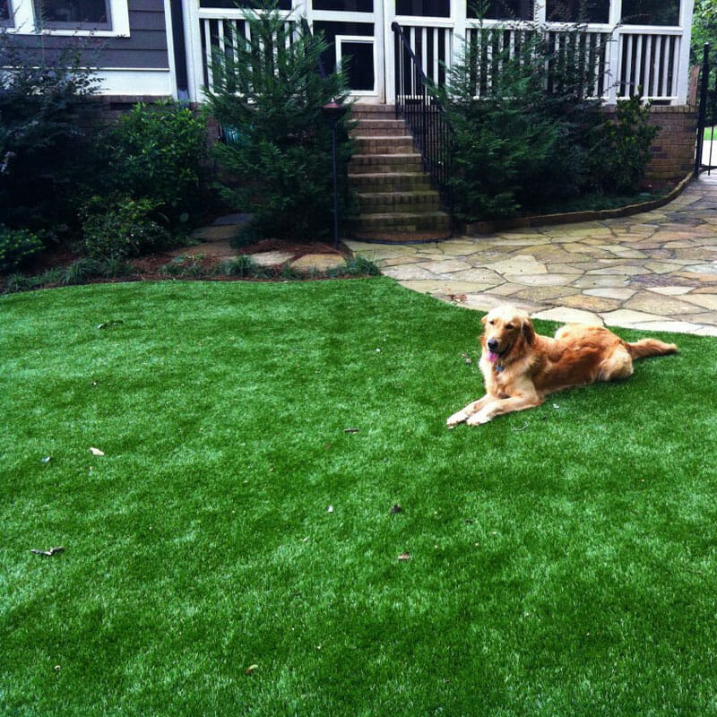 fake grass for patio for dogs