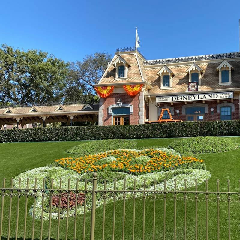 Disney Theme Parks with Artificial Grass Design