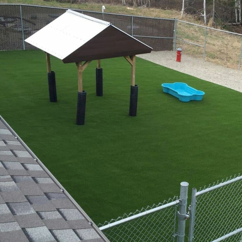 create a designated dog-run area using fake grass