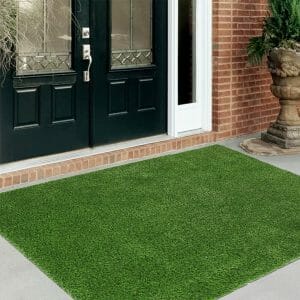 Indoor/Outdoor Transition Artificial grass rug