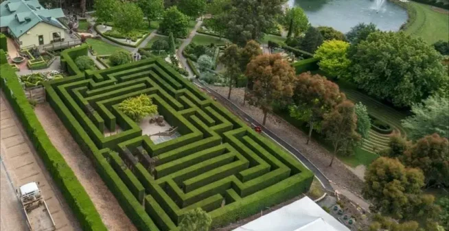 Maze-Like Magic of Artificial Grass Pathways