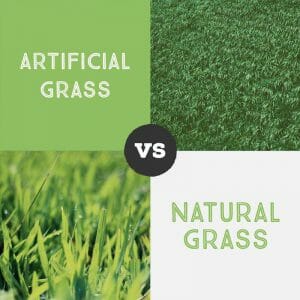 comparison between artificial grass and real grass