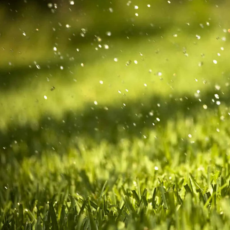 how long does artificial grass take to dry after rain