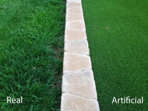 Artificial grass next to real grass with a border