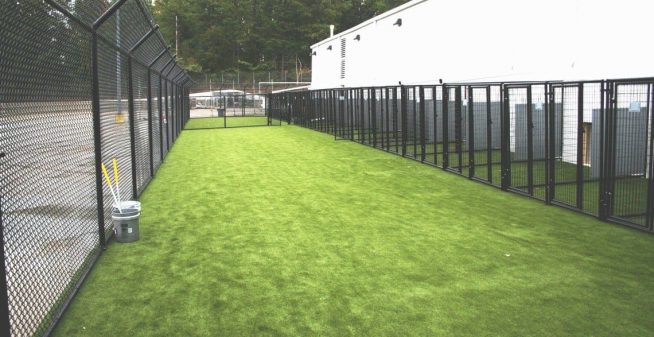 Artificial turf for dog kennel flooring ideas