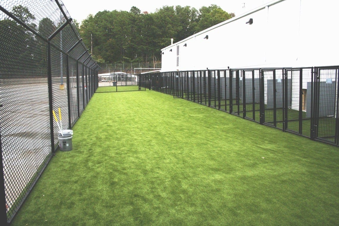 Artificial turf for dog kennel flooring ideas