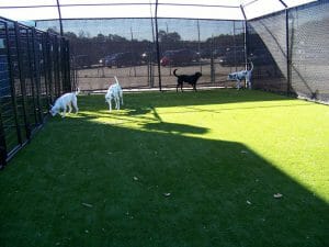 Artificial turf with drainage for dogs