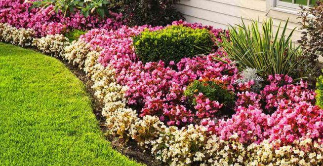 Create a border around your flower beds