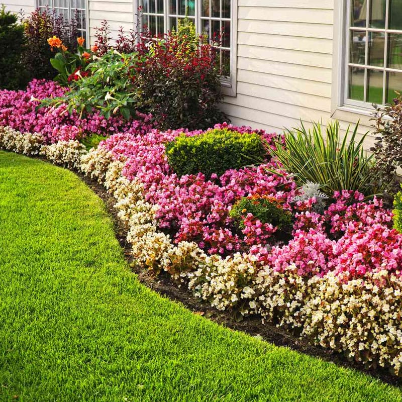 Create a border around your flower beds