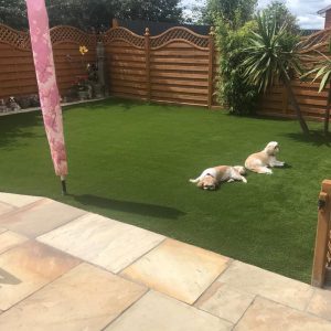 Is artificial grass toxic to dogs