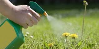 Best weed killer for artificial grass
