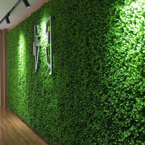 Cheapest way to make a greenery wall