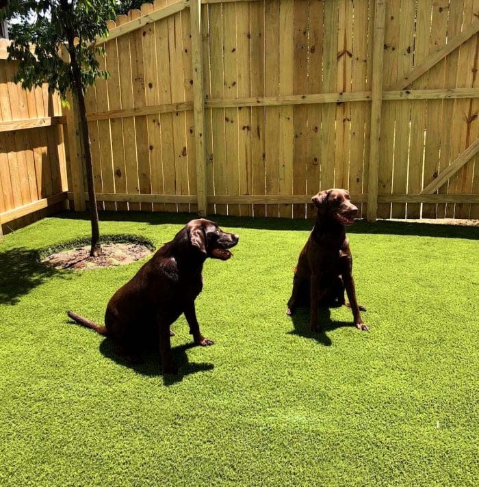 Outdoor Artificial Grass for Dogs