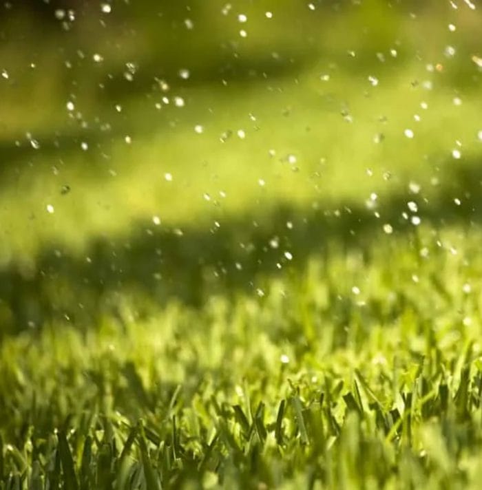 Artificial Grass Smell After Rain