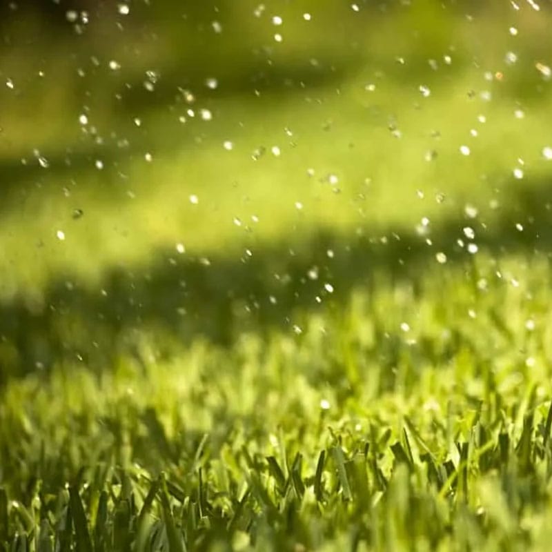 Artificial Grass Smell After Rain