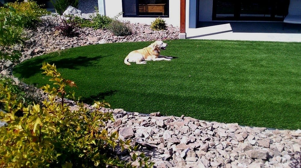fake grass for patio for dogs