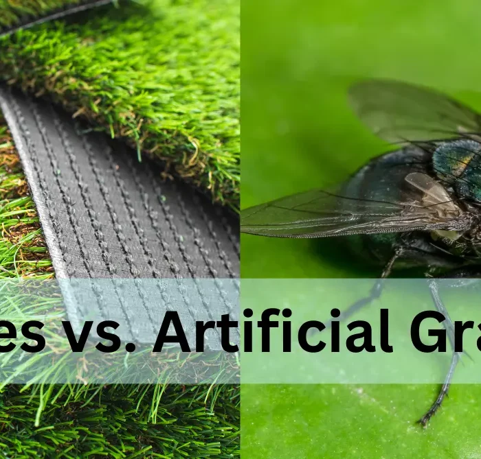 how to get rid of flies on artificial grass