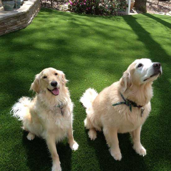 how to install artificial turf for dogs