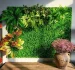 Unleashing Creativity: Captivating Fake Plant Wall Décor Ideas