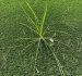 Why are weeds growing through my artificial grass？