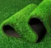 Wholesale Export Artificial Grass Supplier from China | Doleader Factory Direct